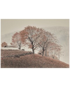 Jung Won